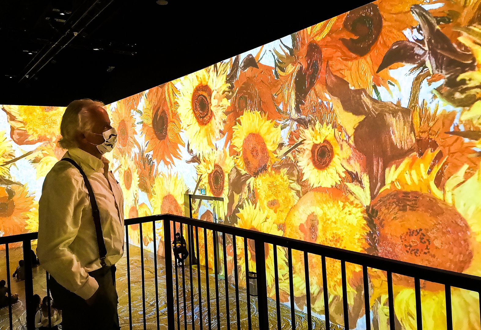 多伦多的梵高画展(ImmersiveVanGoghExhibit)