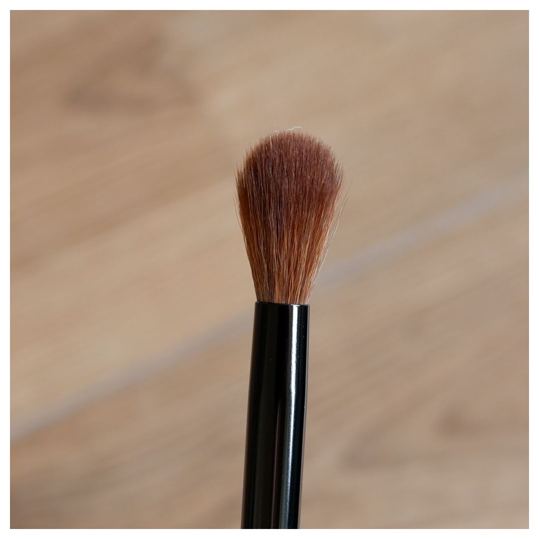 singe beauty brushes F01 E03 E05 makeup brush review tool