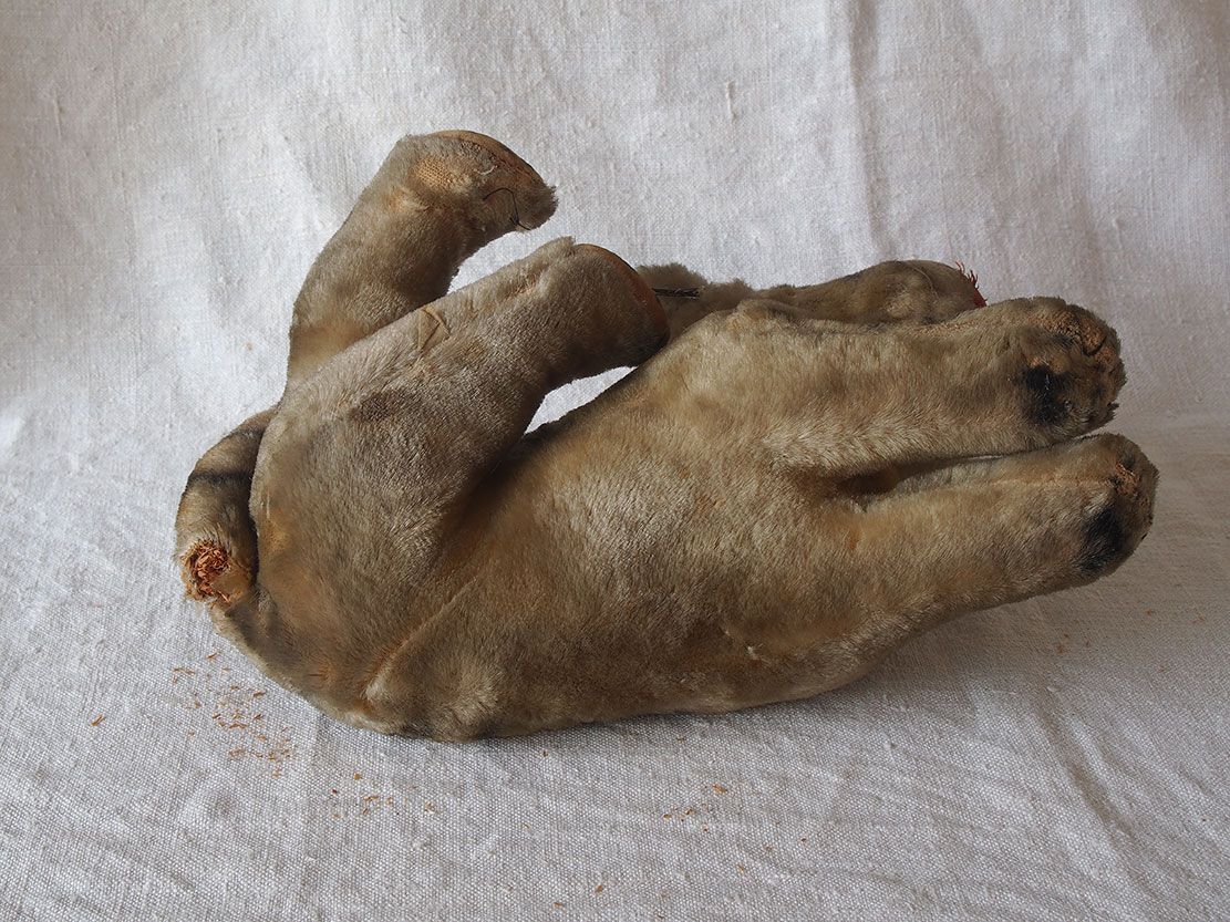 此商品圖像無法被轉載請進入原始網查看