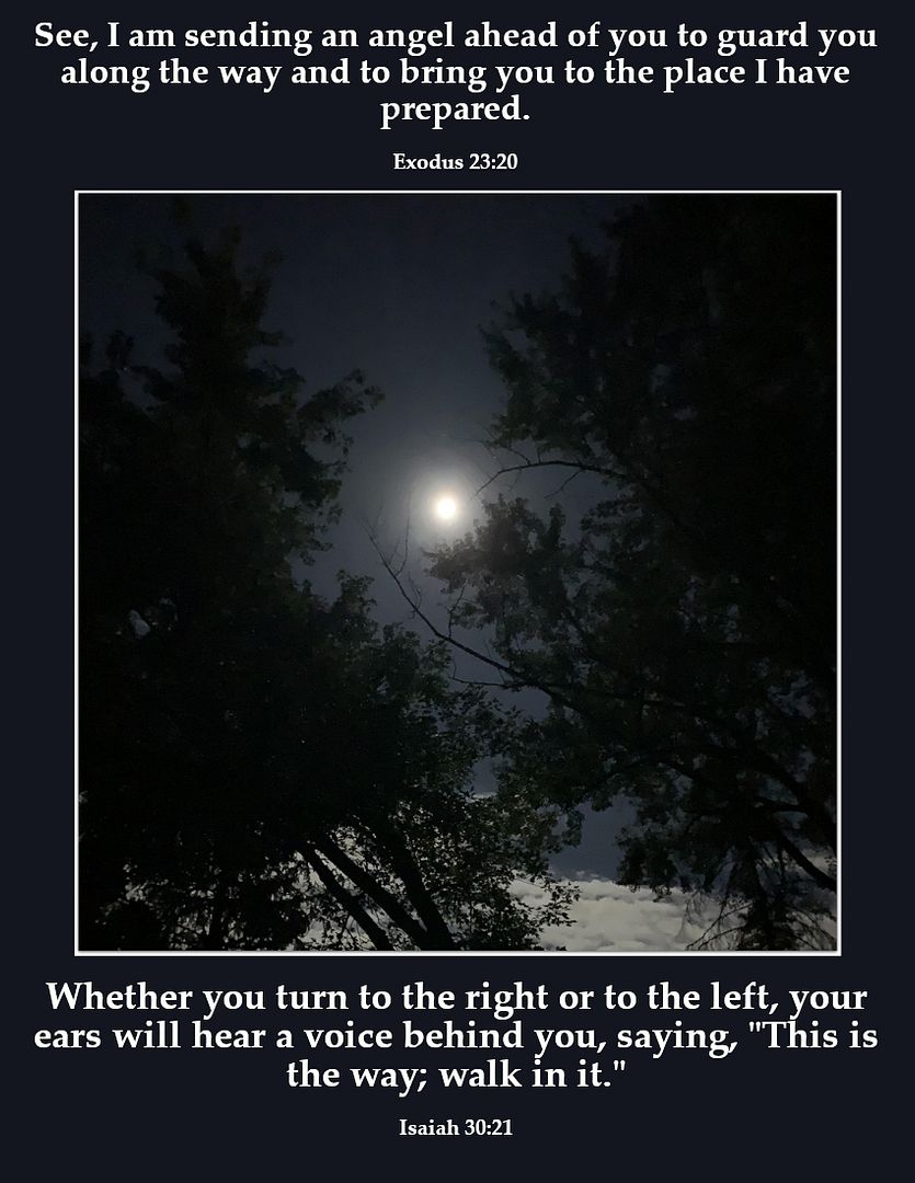 SundayUnseenProtection3