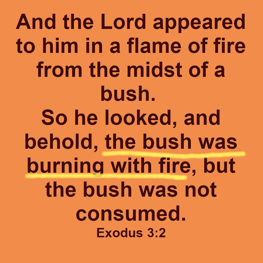 (edited) SundayFrequency10c