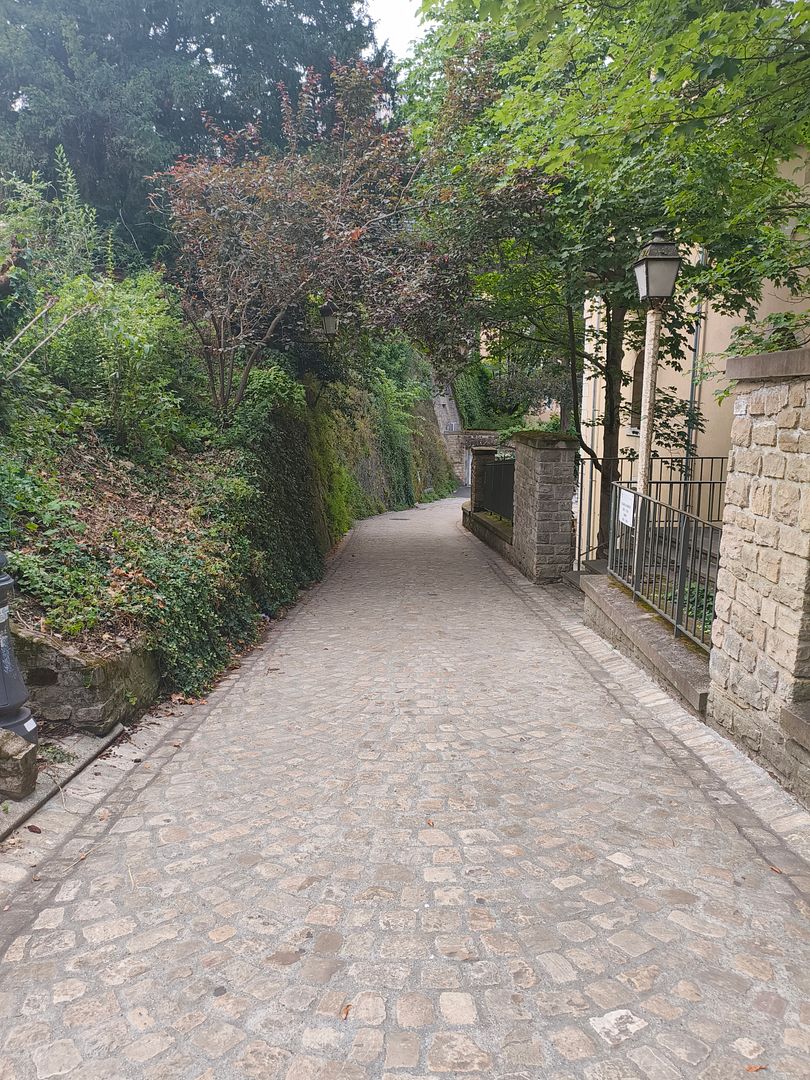 2a43e9e9-3091-4e5c-ac0e-e5a3c7e7721f.jpg?width=1920&height=1080&fit=bounds