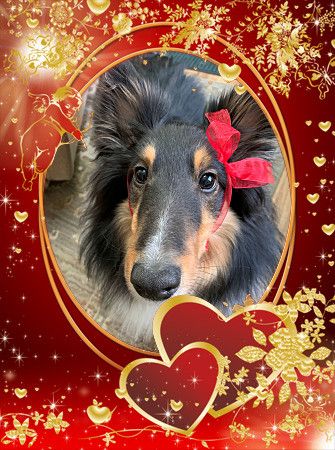 loonapix_158178052931322710571