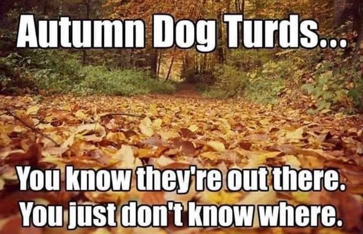 45278485_1806999562756851_5071035188801175552_n