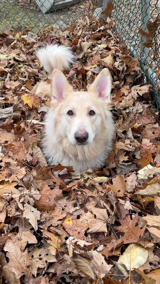 IMG_2089_V2F_2025-11-03_12-32-34_967