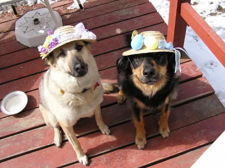 KodiMedEasterBonnetBest