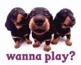 PuppiesWannaPlay