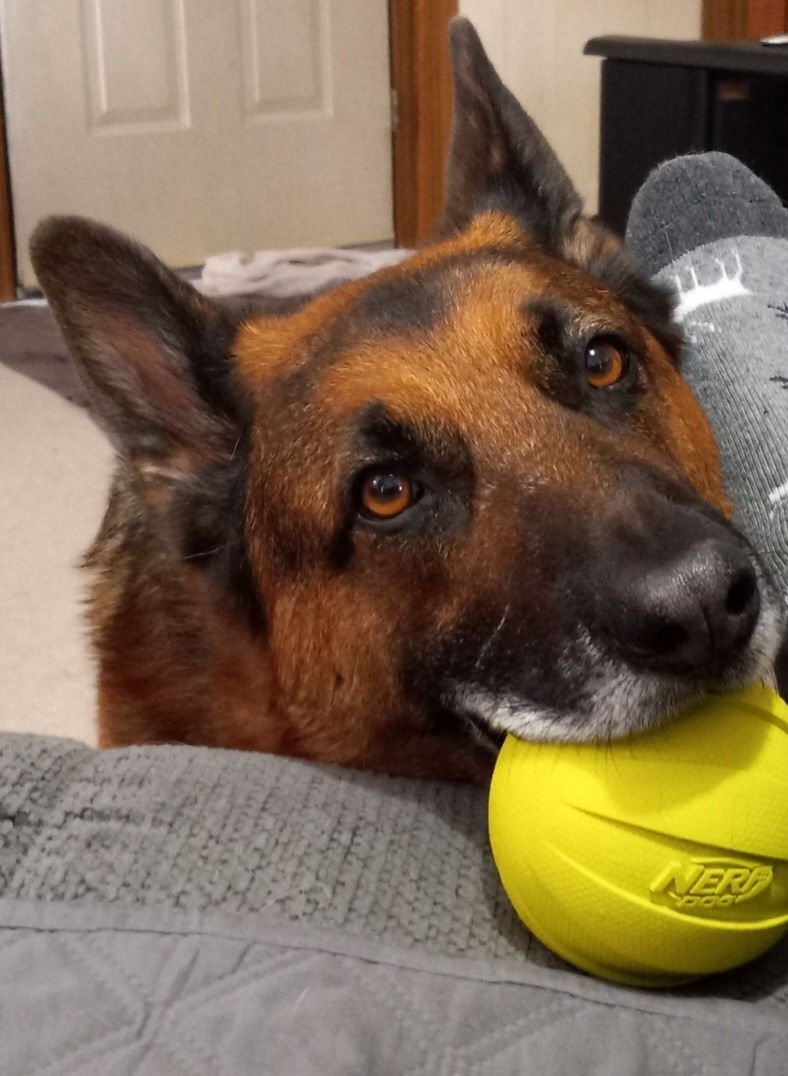 RangerWithBall