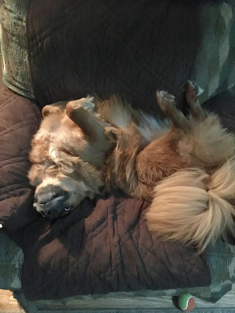 WillowOnBackInChair