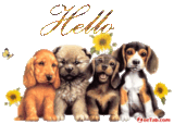 DogsHello