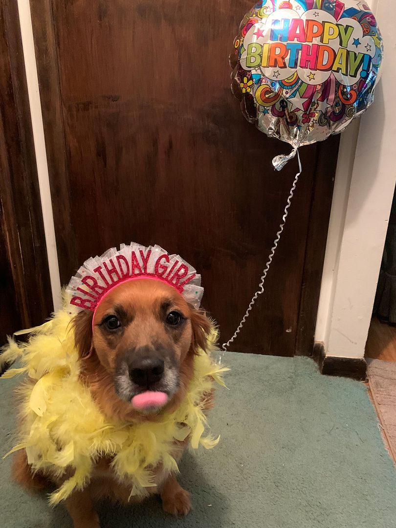 WillowBirthdayTongue