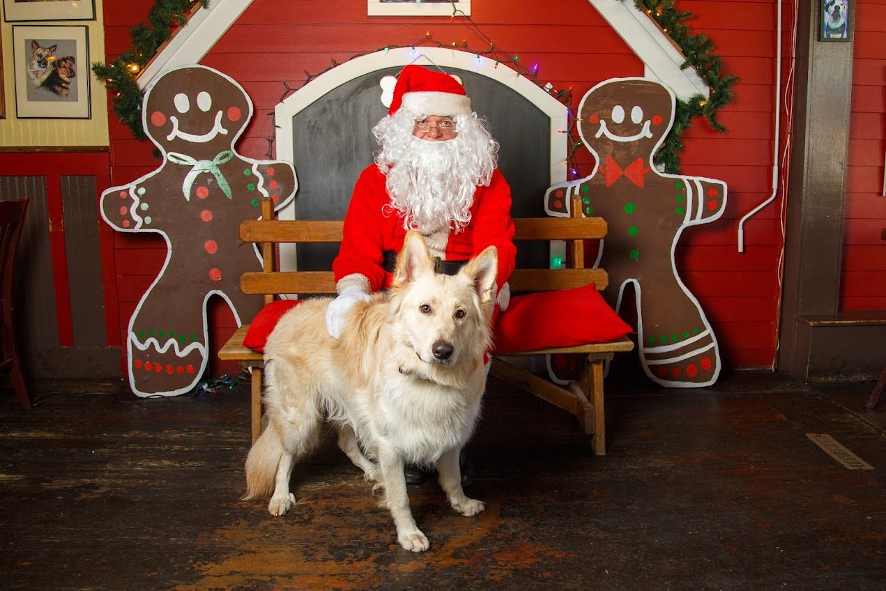 Zak with Santa Claus at Fetch_#1_11-19-2022
