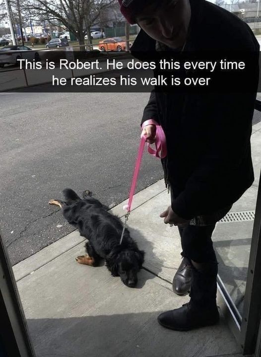 Robert