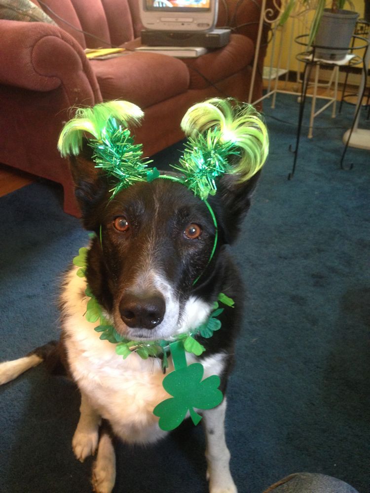 DoraStPatricksDay
