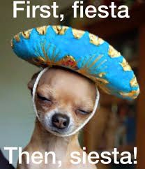 cinco de mayo