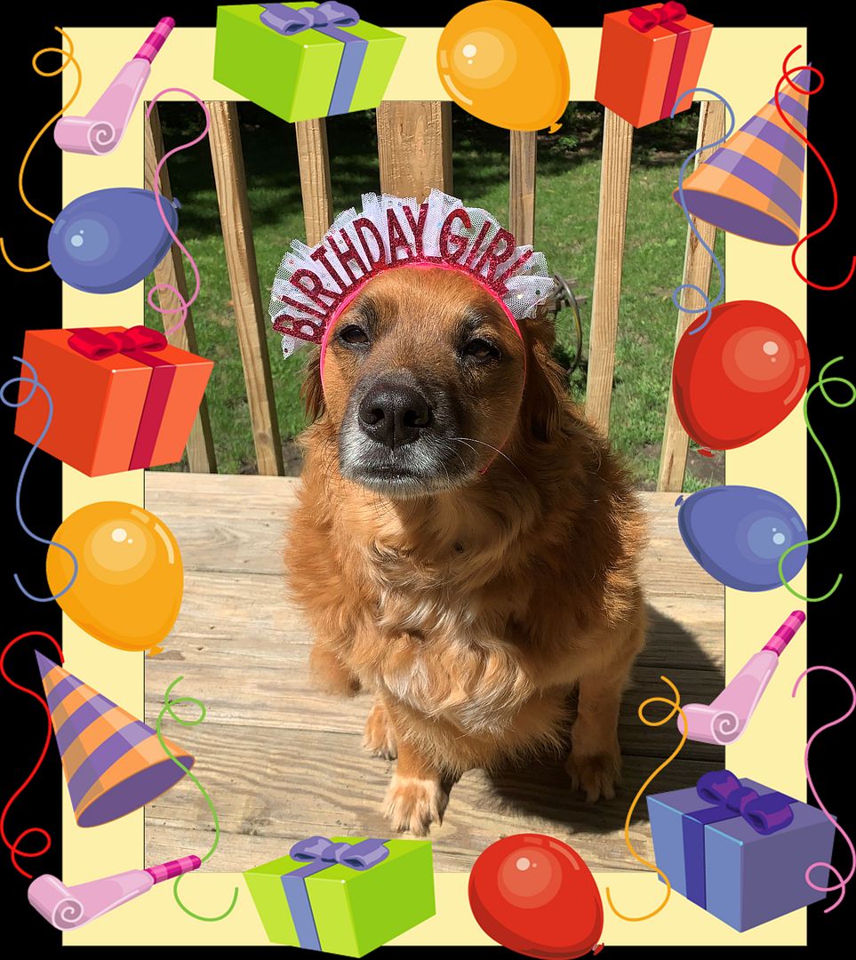 WillowBirthdayGirl