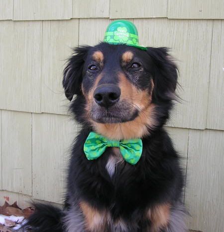 KodiShamrockHat