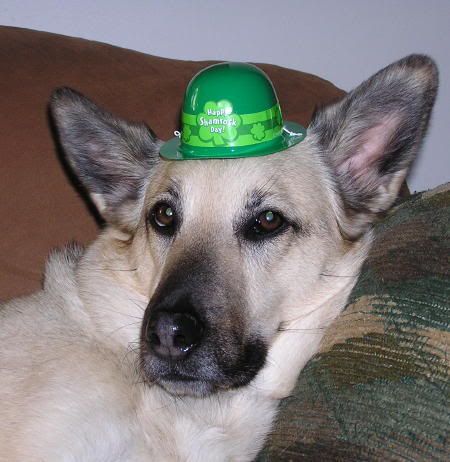 MeadowShamrockHat-1