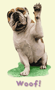 Bulldog