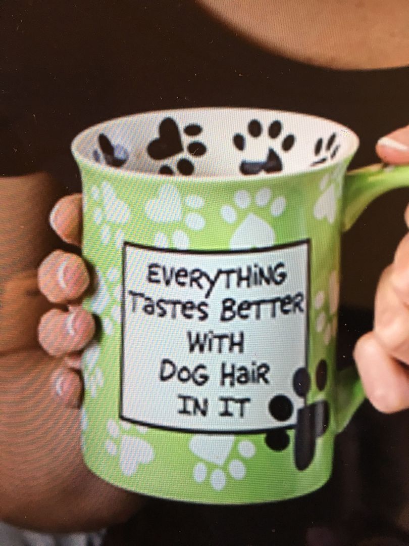 DogHairMug