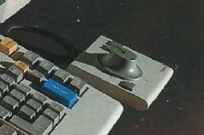 0bda181d-b36d-49a6-bf96-abb853bb647e.jpg