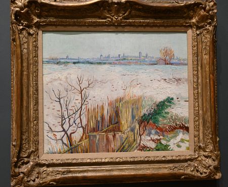 Vincent van Gogh - Snowy Landscape with Arles in the background, 1888