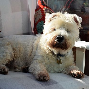 2nd March 2_zps6thnmoh6