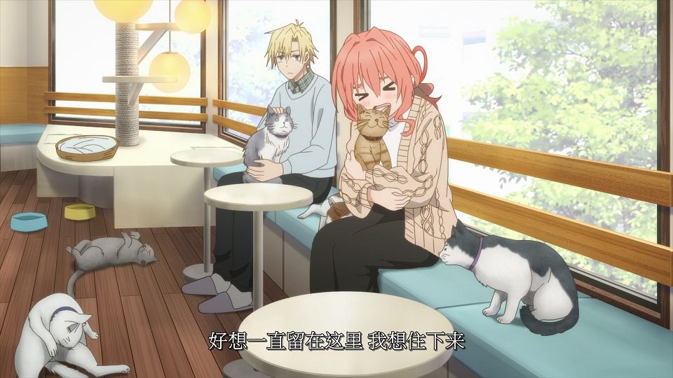 03_snapshot_14.11.330