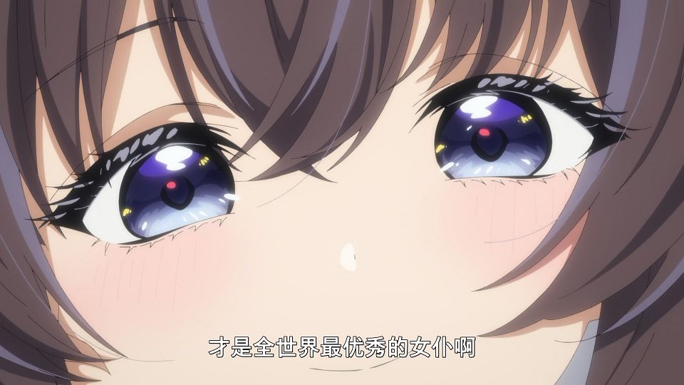 [LoliHouse] Heroine？ Seijo？ Iie, All Works Maid Desu (Hokori)! - 12 [WebRip 1080p HEVC-10bit AAC ASSx2].mkv_snapshot_19.57.800