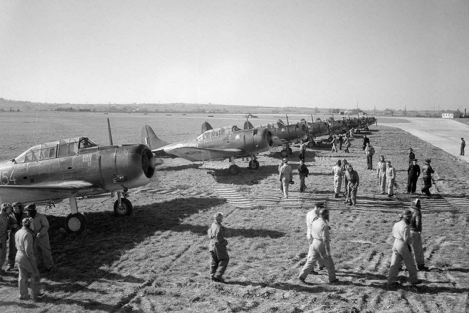 D33559a590a4 D33559a590a4