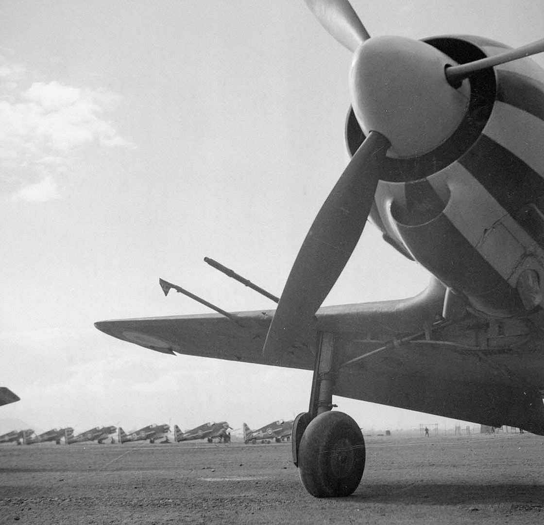 8f98945aaadb 8f98945aaadb