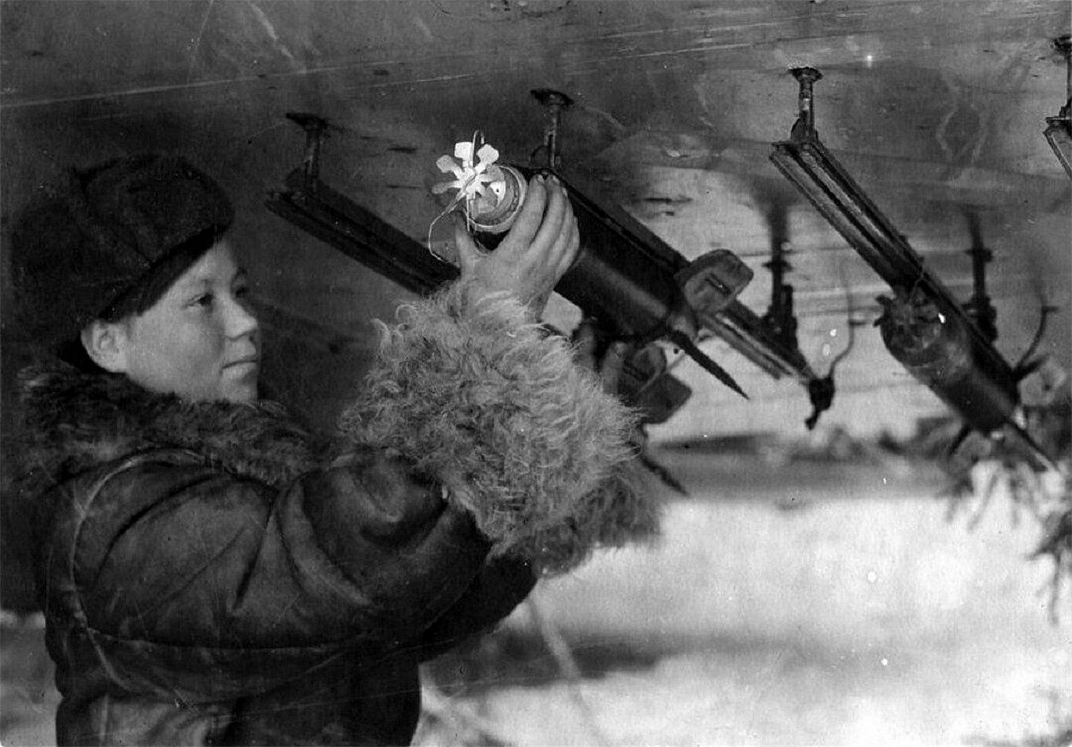 003a7e1b7396 003a7e1b7396