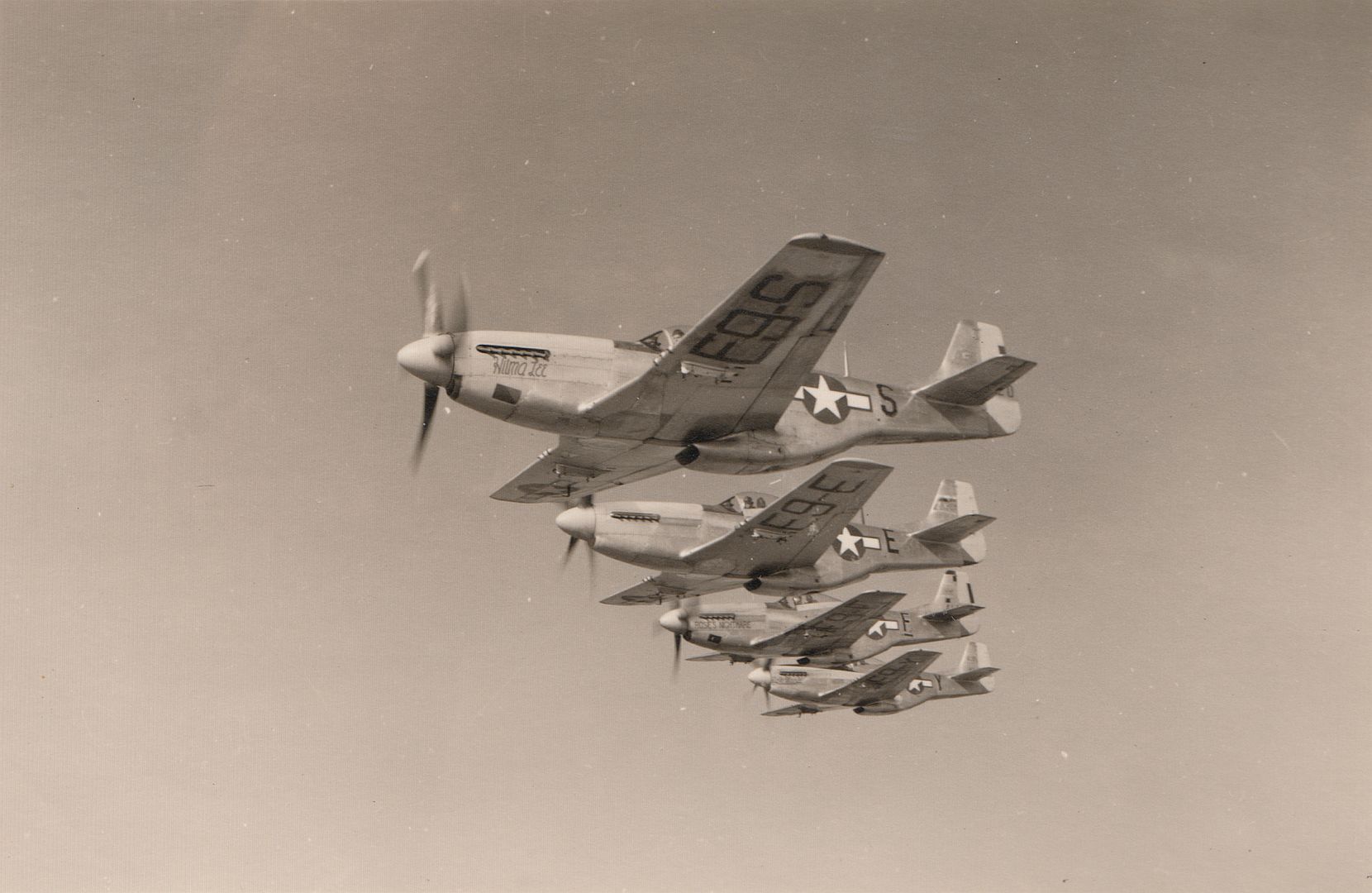 21e768b17b1e 21e768b17b1e