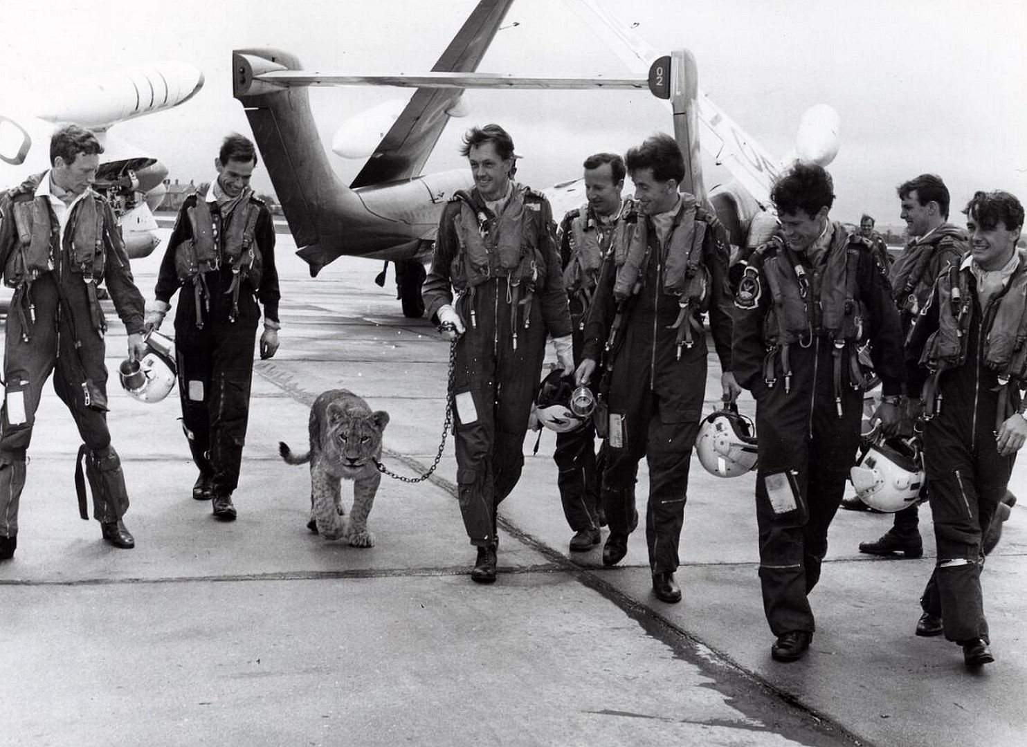 Fe75124e8186 Fe75124e8186