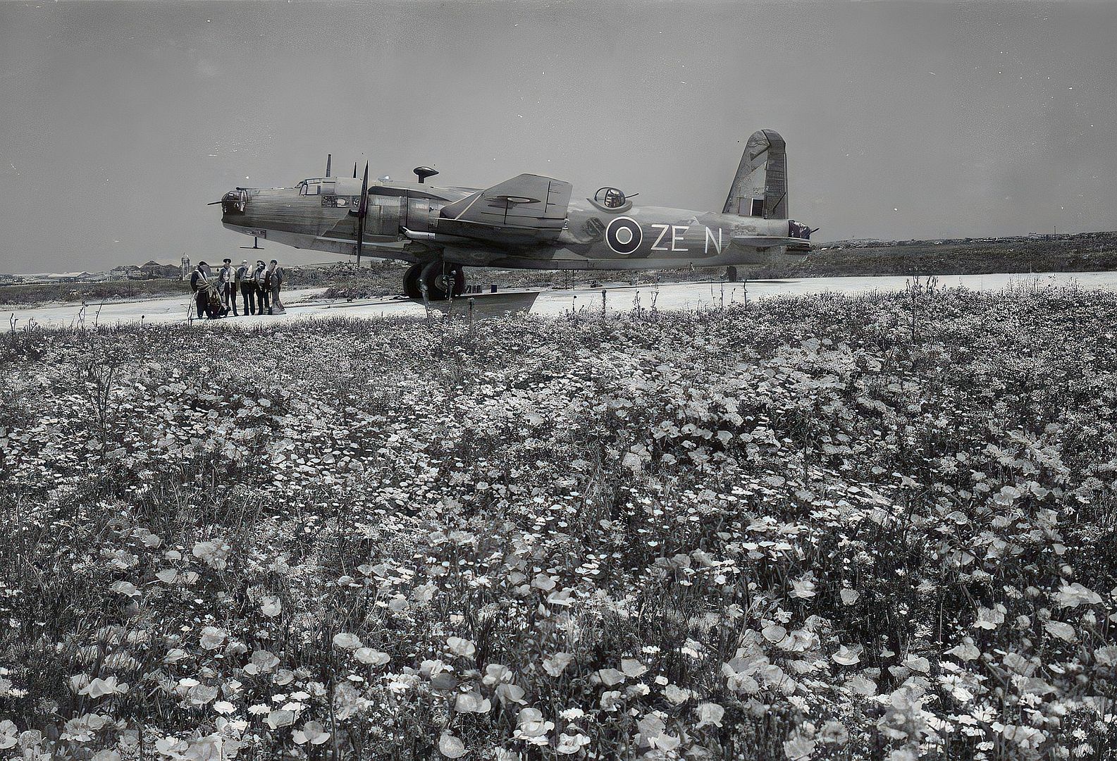 72f21674c818 72f21674c818