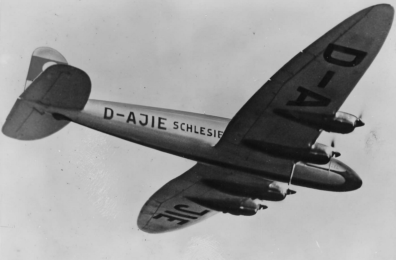 40a20e904e17 40a20e904e17