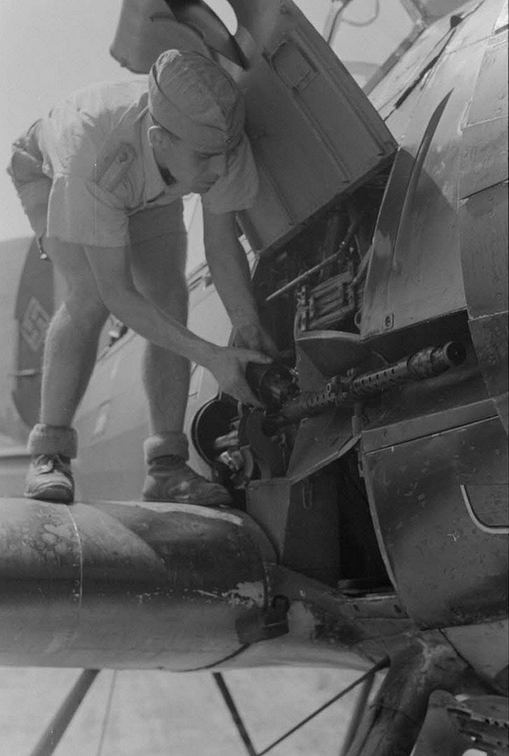 9dbace273879 9dbace273879