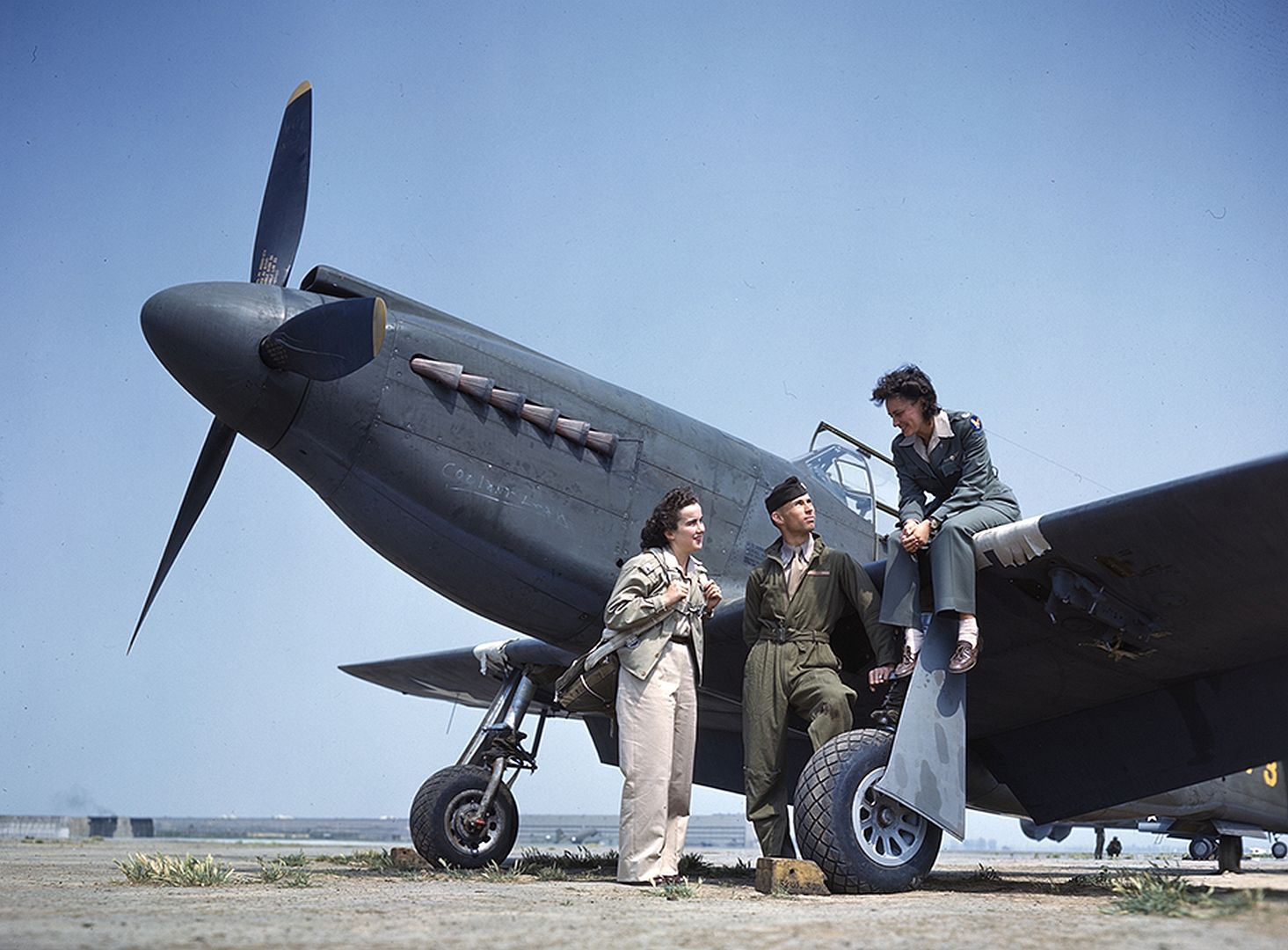 33707ce1ff8f 33707ce1ff8f