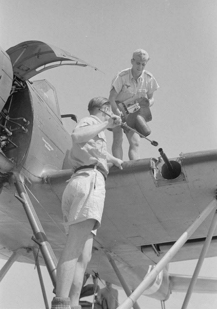 9810e0778239 9810e0778239