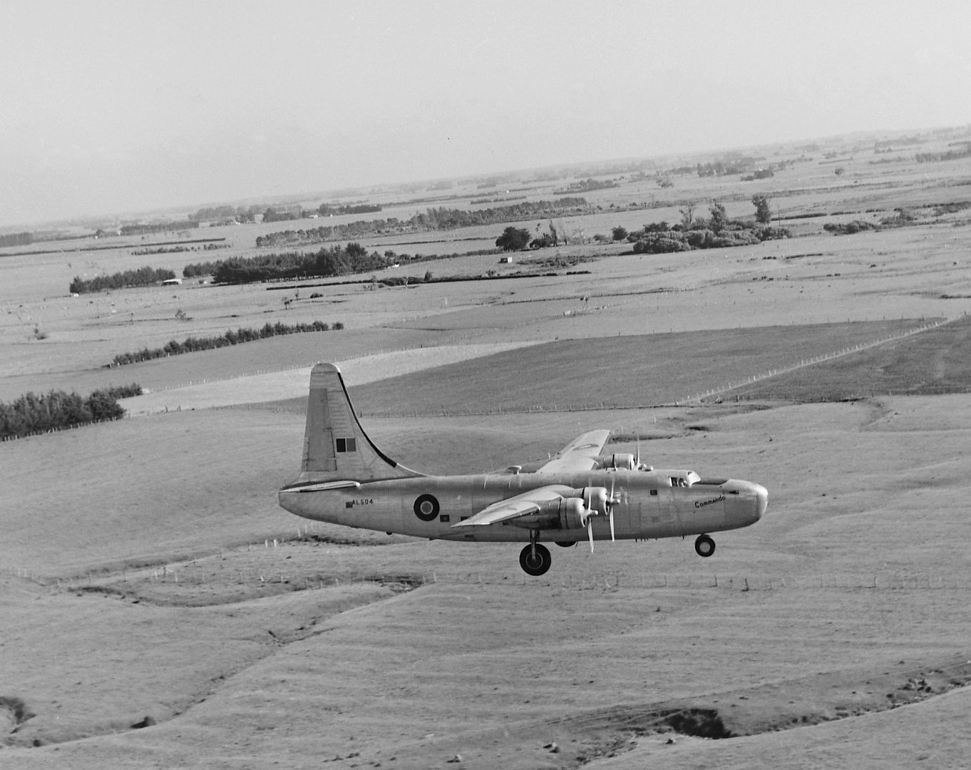 D677f9571b0e D677f9571b0e