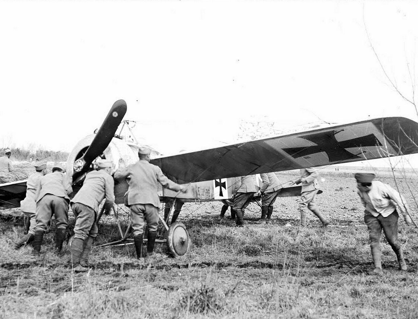 8f4b8268b19d 8f4b8268b19d