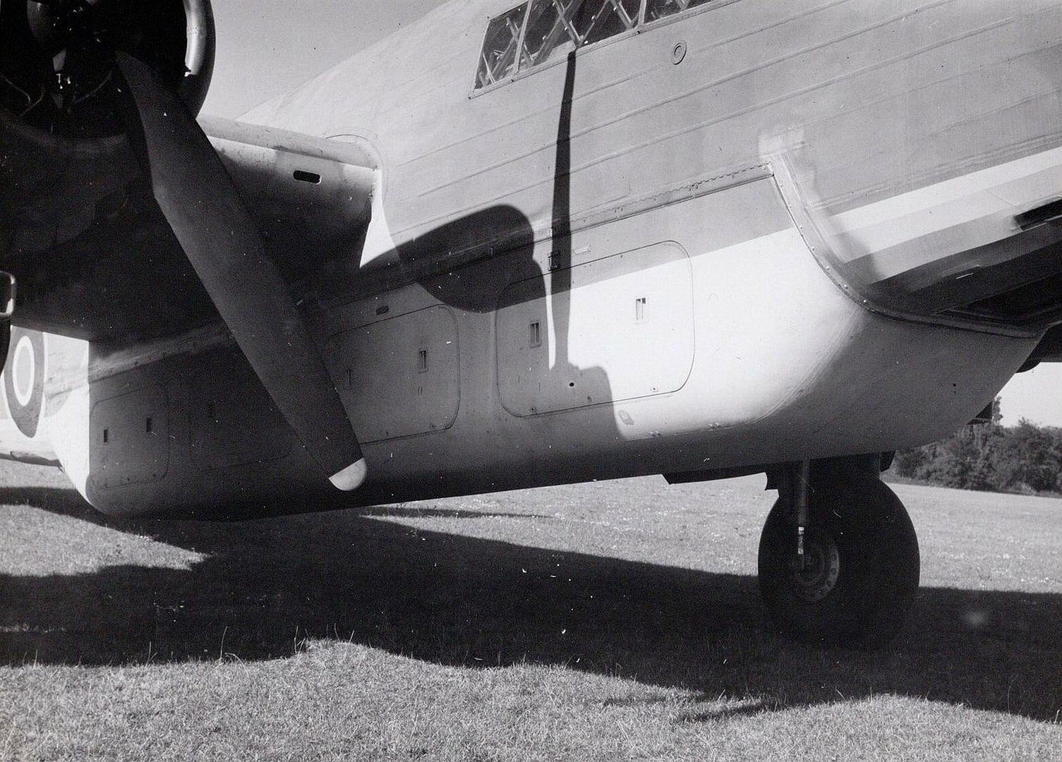 B45ea5c99743 B45ea5c99743