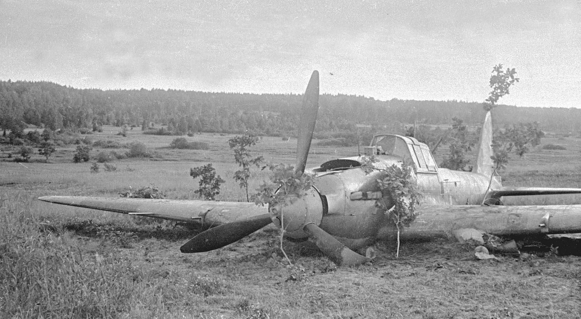 Dcff642a6c4c Dcff642a6c4c