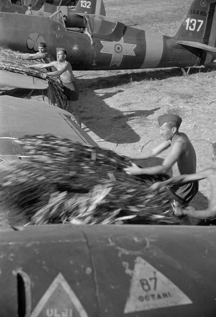 D1cf548f2f76 D1cf548f2f76