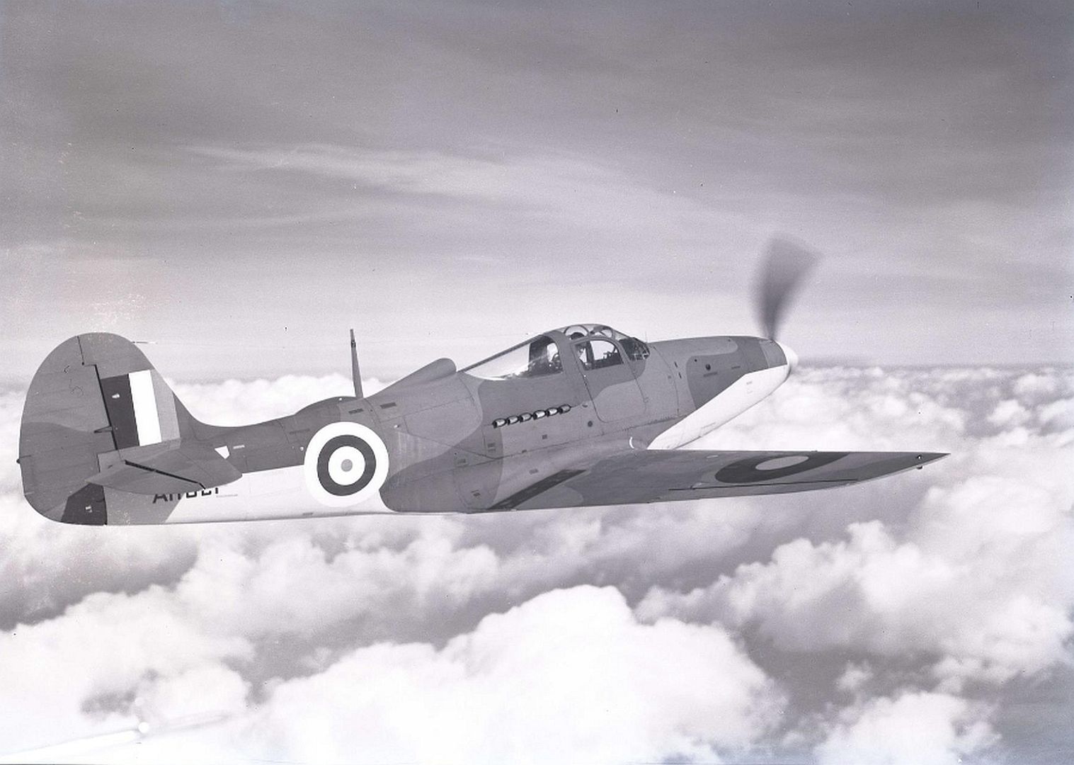 80d968b75359 80d968b75359