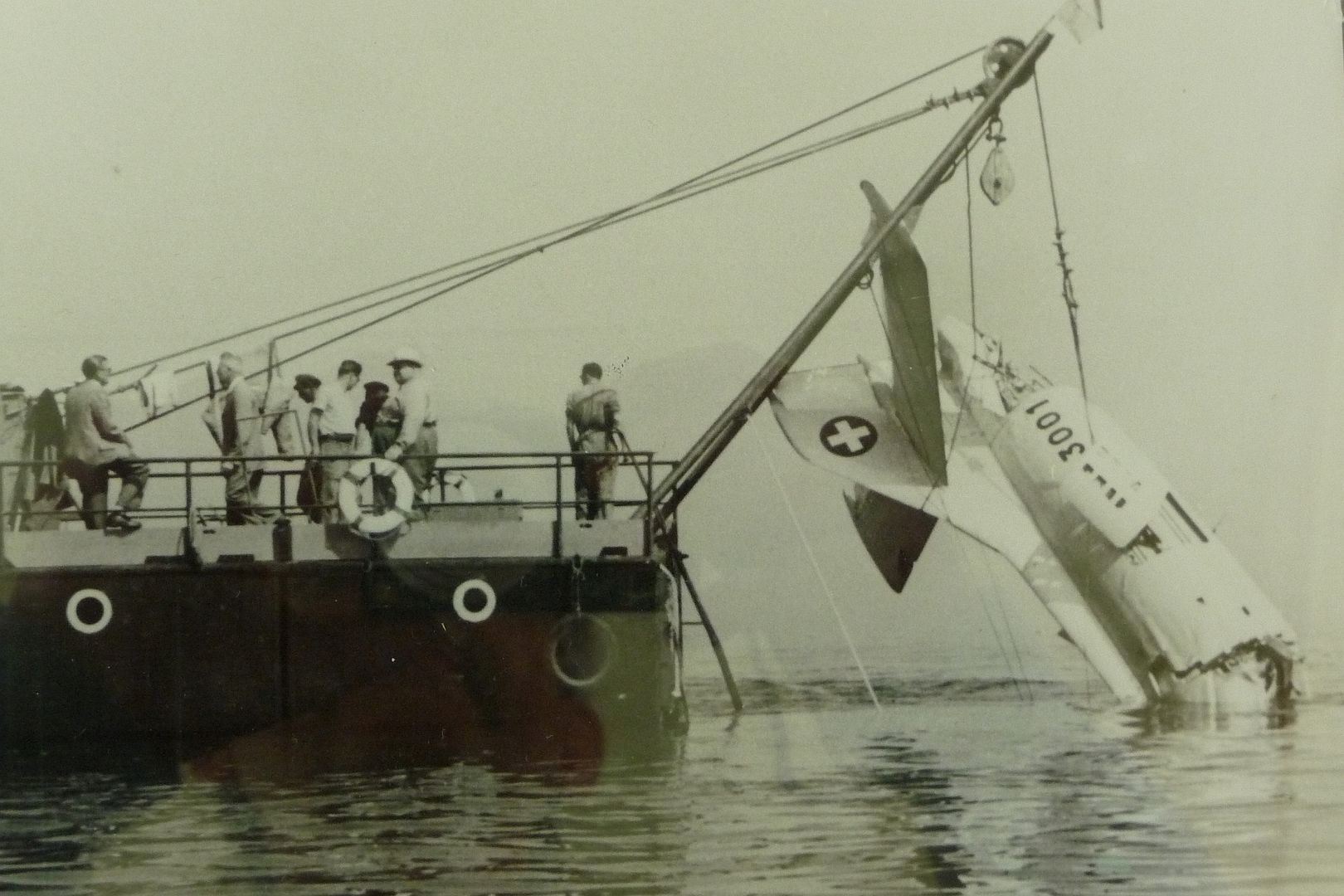 017098da493e 017098da493e