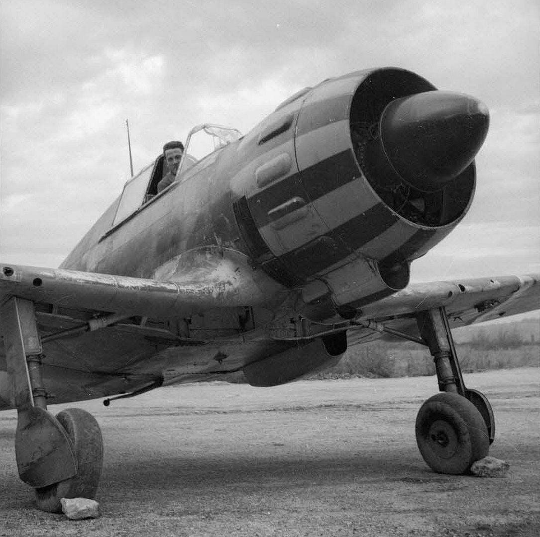 0f3a4b2d434d 0f3a4b2d434d