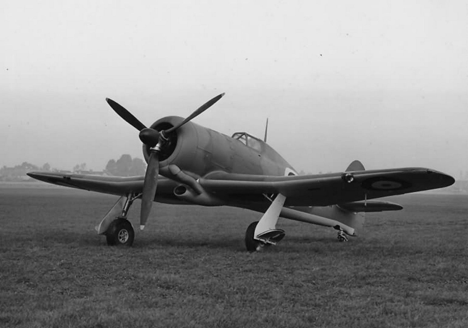 7d2e1f790c10 7d2e1f790c10