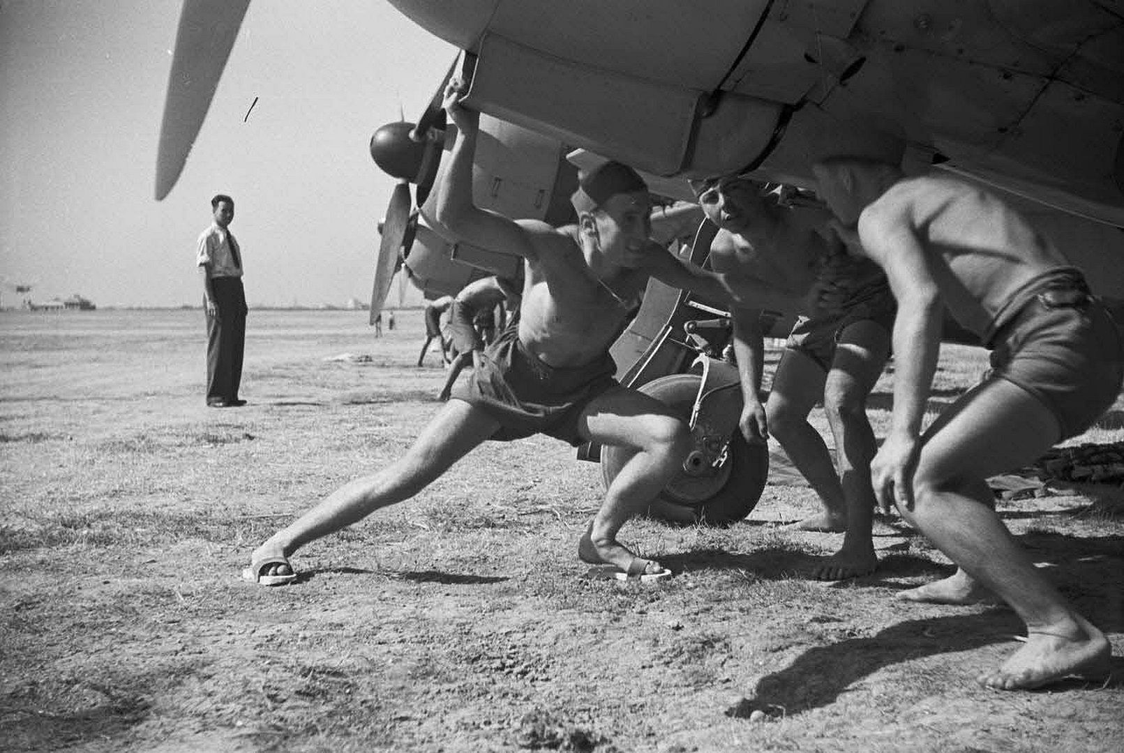 Ee7fa21f22cb Ee7fa21f22cb