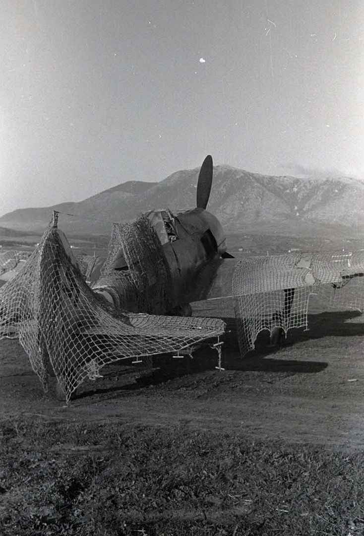 Bf9254c73a9a Bf9254c73a9a